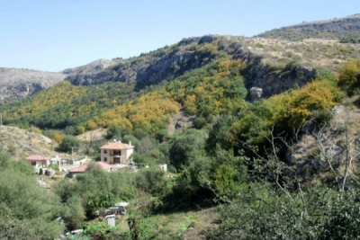 Վարդաձորում ազատ տներ` իրական ապրողների համար
