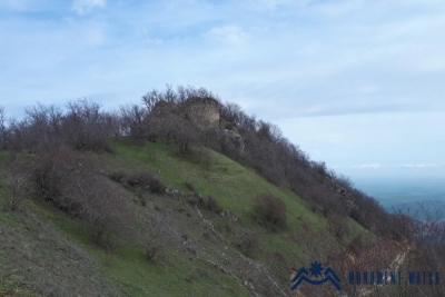 Վնեսա բերդ