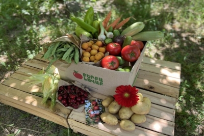 Հանրապետությունում բերքահավաքը շարունակվում է