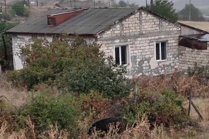 Վարանդա. հաց բերող մեքենան, տիկին Աիդայի մեծ ընտանիքը, 12-ամյա Արտակի մշակած այգին ու զրույց տան բակում