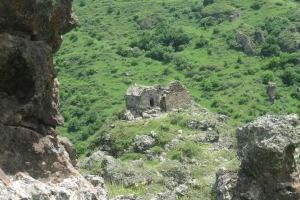 Մկնատամի խաչ