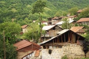 Տումիի ծառերը նույն կերպ են ծաղկում, միգուցե և ավելի գեղեցիկ