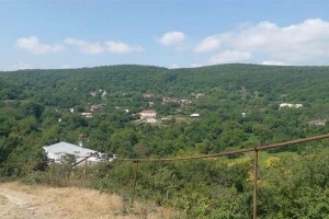 Եմիշճանը՝ անցյալի, ներկայի, լուսավորի ու հակասականի խաչմերում