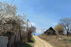 Դրմբոնում ակտիվ գյուղատնտեսական շրջան է