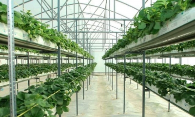 Նոր հնարավորություն գյուղատնտեսների համար